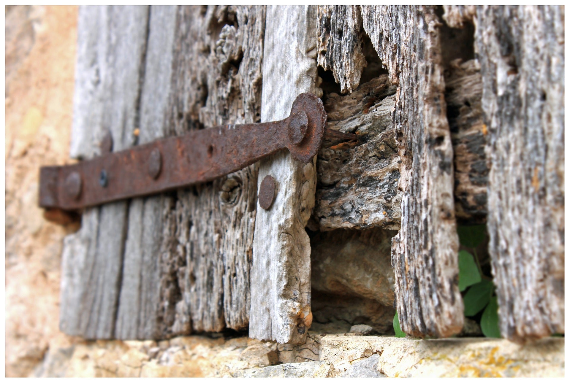 rusty antique penny end t-hinge