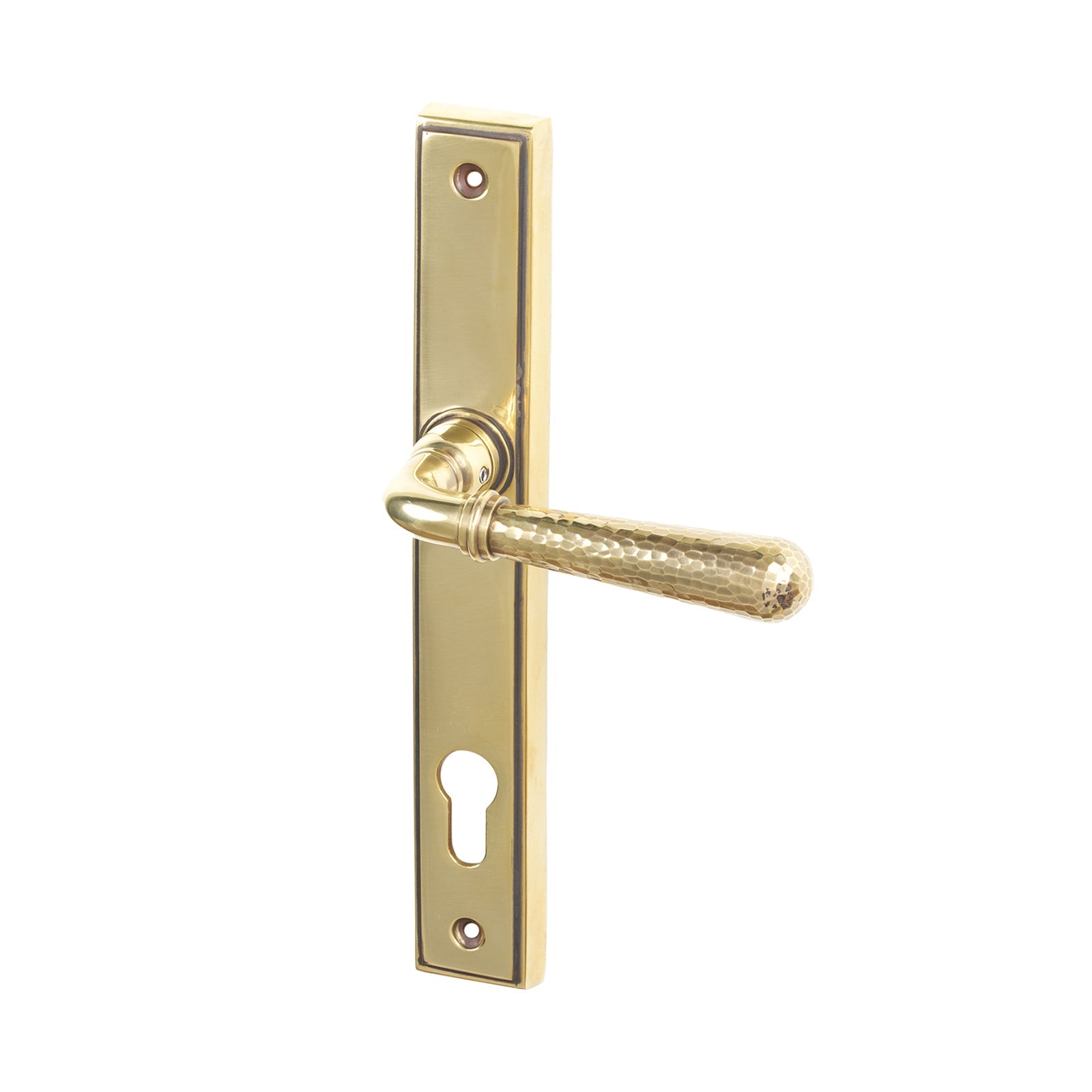 SHOW Antique Brass Hammered Newbury Slimline Multipoint Door Handle