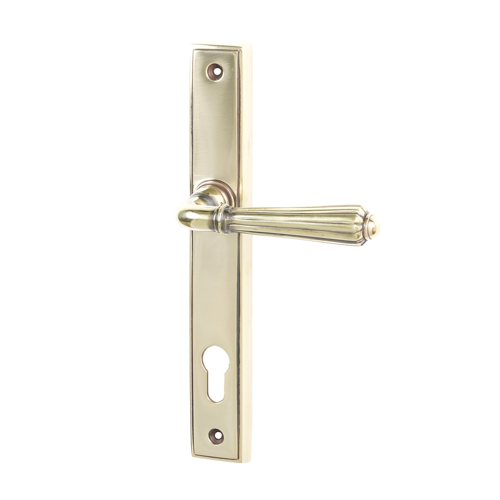 SHOW Antique Brass Hinton Slimline Multipoint Door Handle