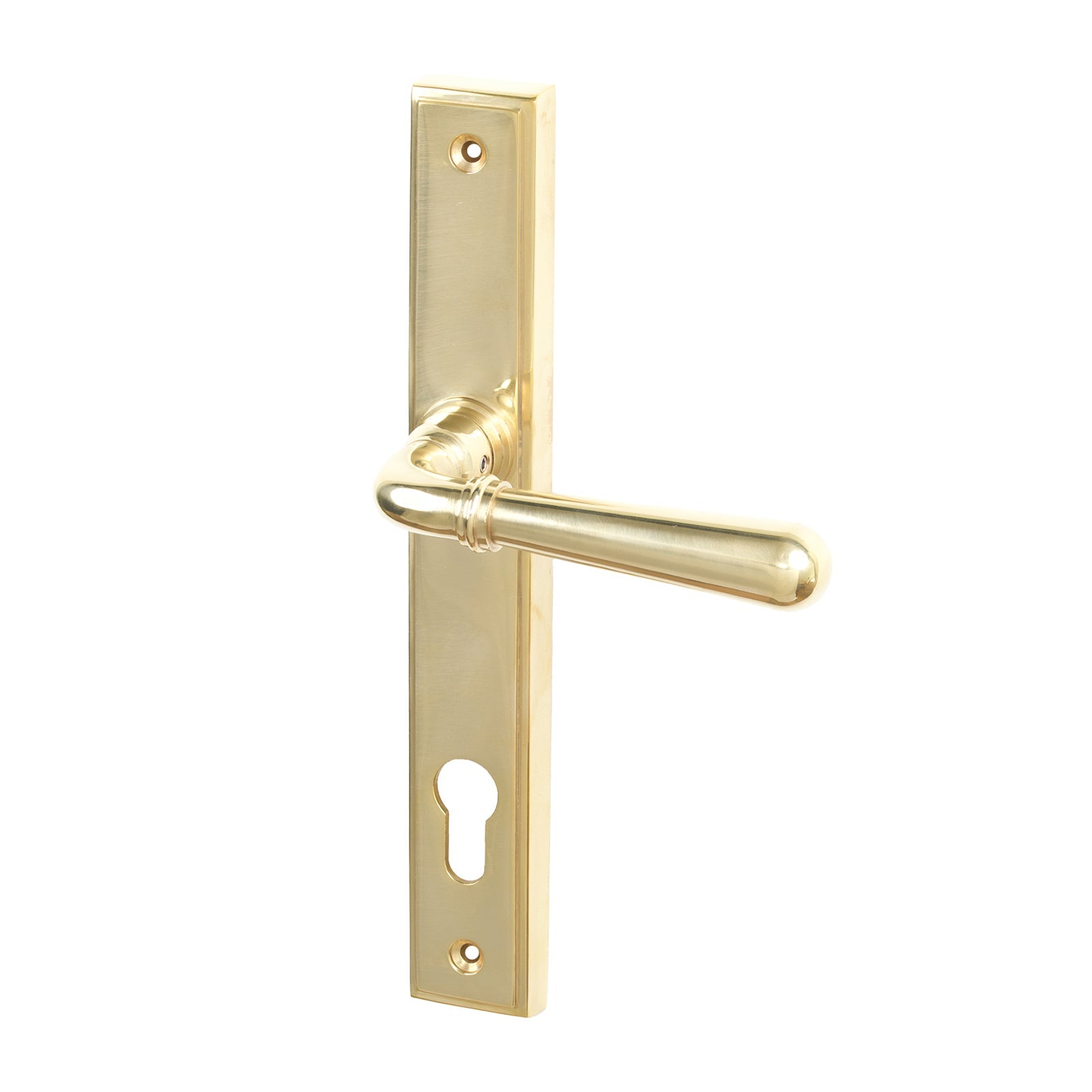 SHOW Polished Brass Latch Newbury Slimline Multipoint Door Handle