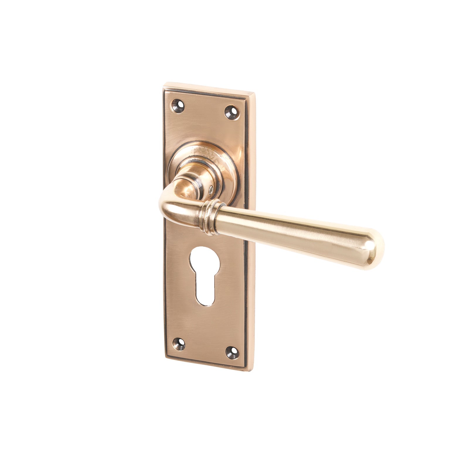 Polished Bronze Euro Newbury Lever Handles