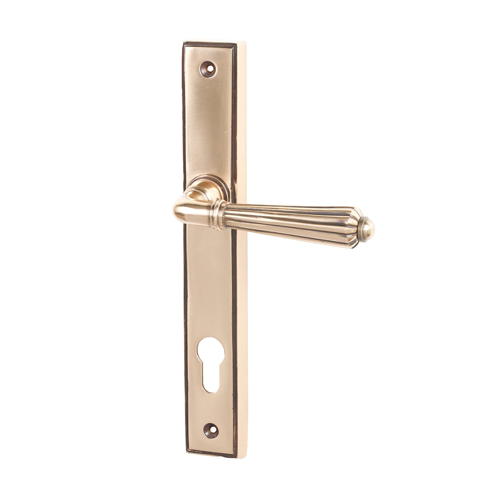 Polished Bronze Hinton Slimline Multipoint Door Handle