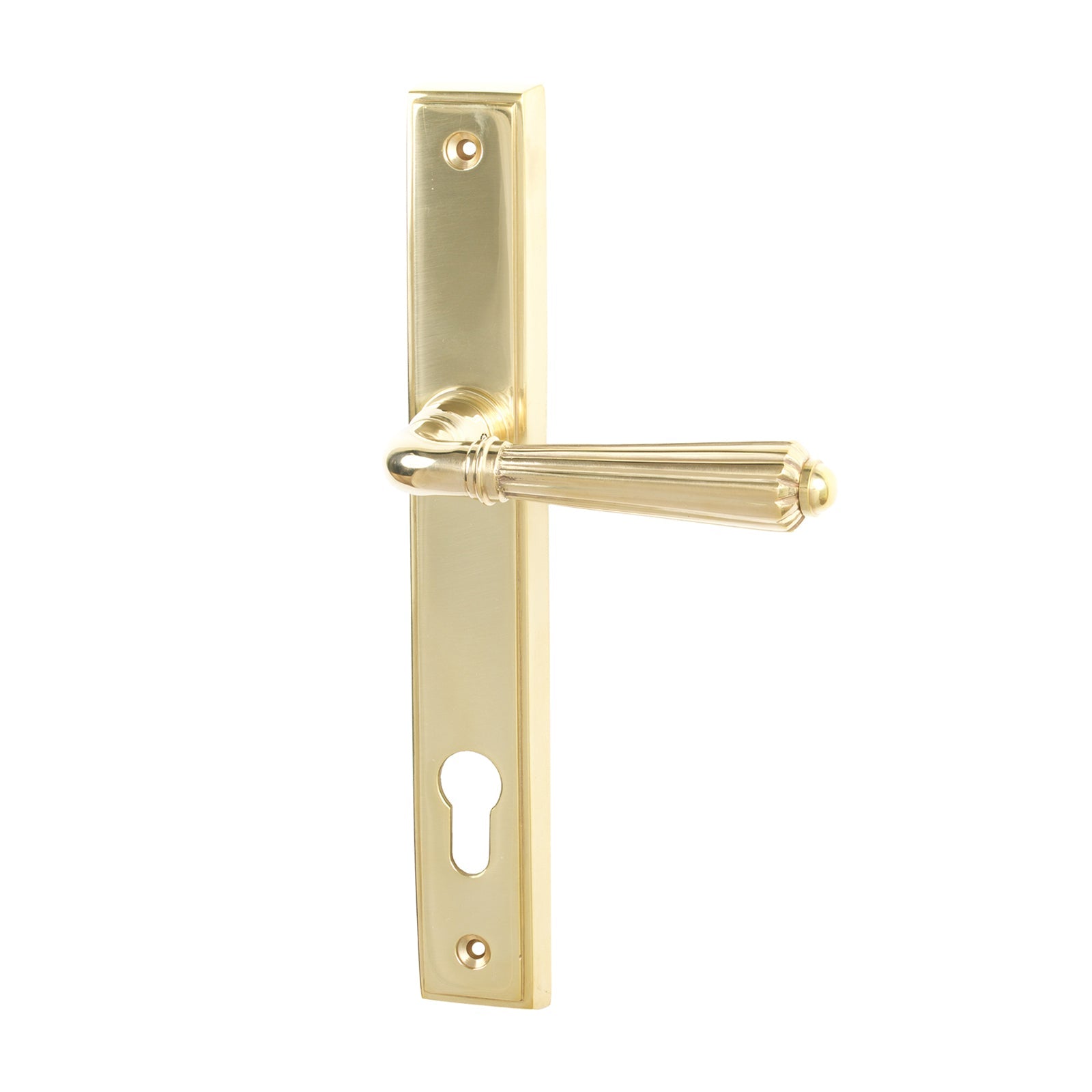 SHOW Polished Brass Hinton Slimline Multipoint Door Handle